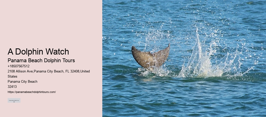 This Is How Dolphins 'see' Humans With Echolocation