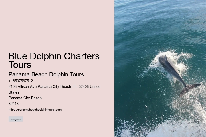 Best Dolphin Tours In Panama City Beach