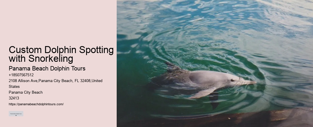 Custom Dolphin Spotting with Snorkeling