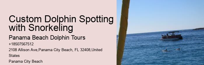 Shell Island Blue Dolphin Tours