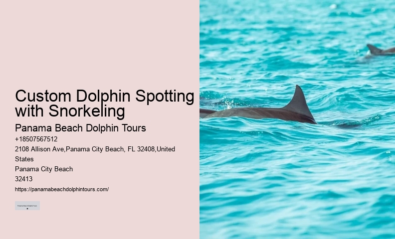 Bottle Nose Dolphin