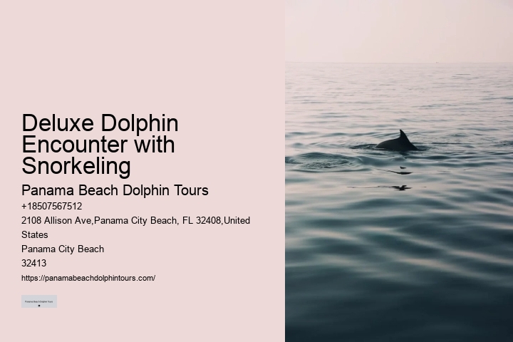 Split Full-day Dolphin Watching And Snorkeling Tours