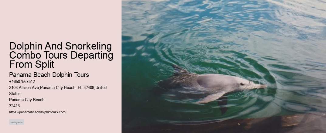 Dolphin And Snorkeling Combo Tours Departing From Split