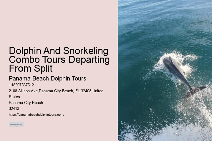 Do dolphin tours in Panama City Beach guarantee sightings