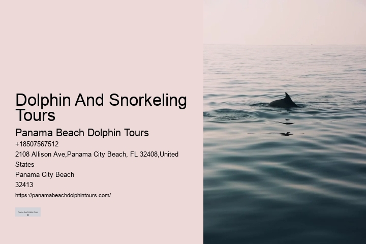 Individual Dolphin Encounter and Snorkeling Tours