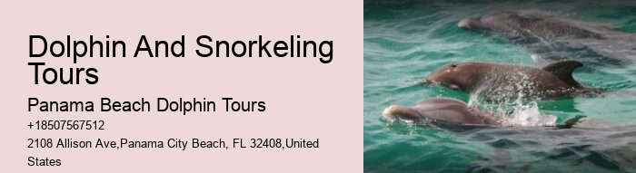 Are dolphin tours in Panama City Beach narrated by guides