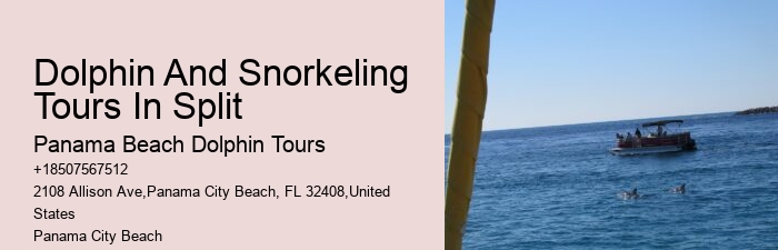 Panama City Beach wildlife tours including dolphins