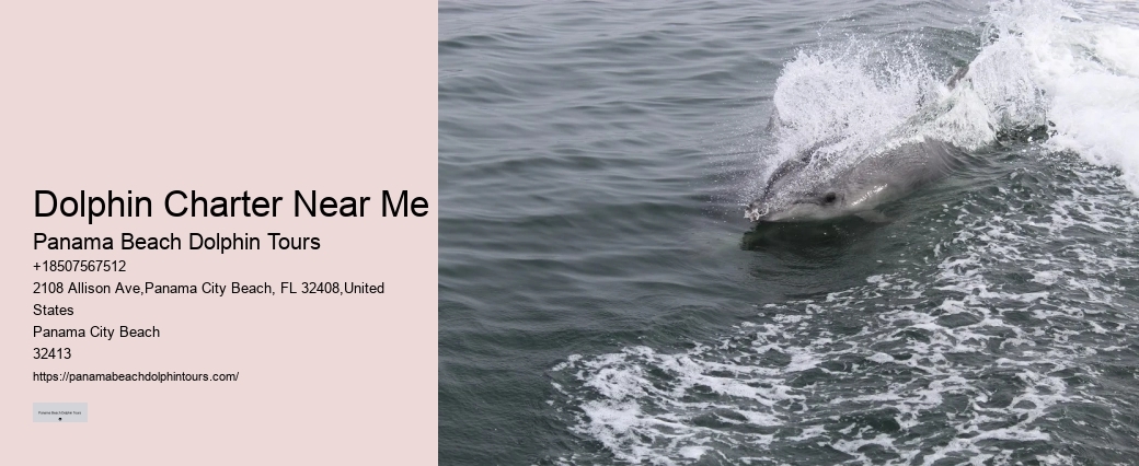 PCB Dolphin Sightseeing Trips