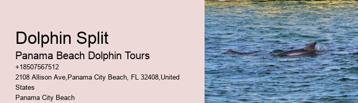 What Scares Dolphins Away