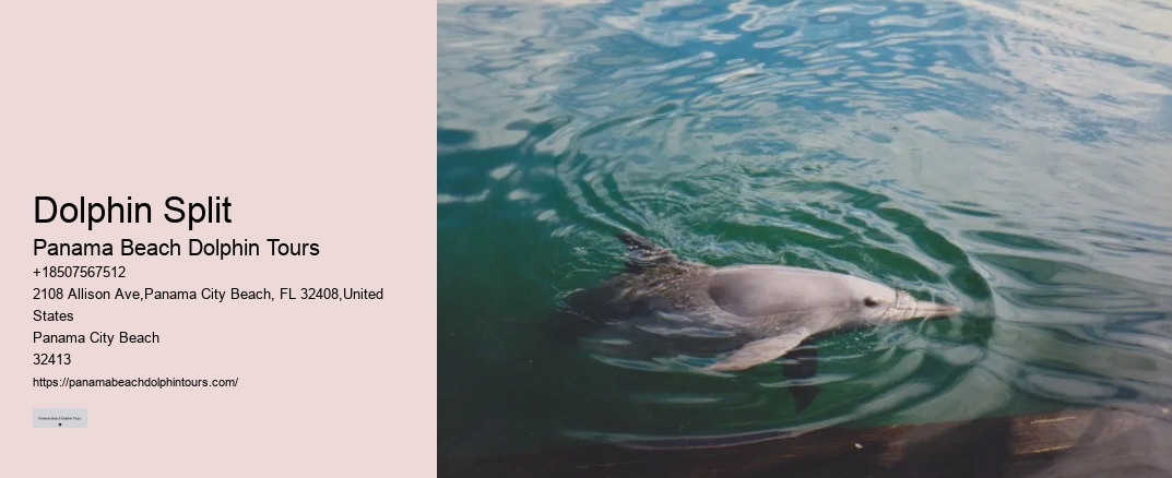 Dolphin Split