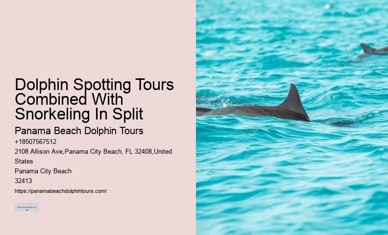 Split Customized Dolphin And Snorkeling Itineraries