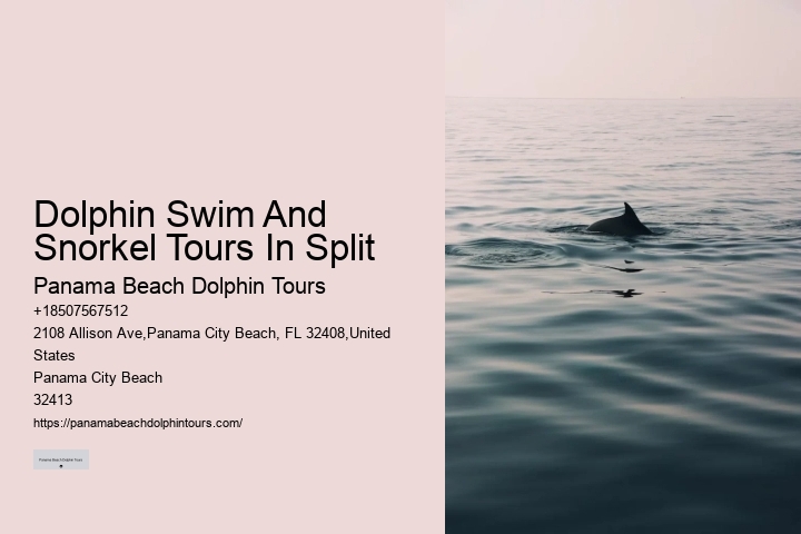 Snorkeling Safaris With Dolphin Watching In Split