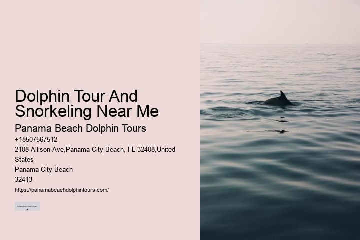 What Are The Risks Of Hugging Dolphins In The Wild
