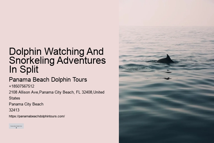 Do You Know Why Dolphins Swim Beside Ships