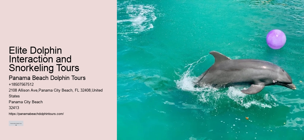 Panama City Beach dolphin watching trips