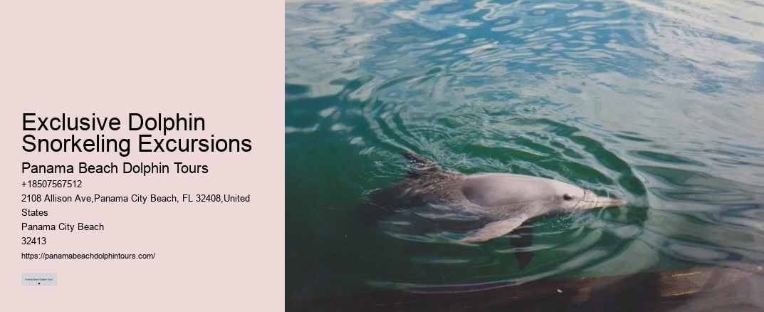 Exclusive Dolphin Snorkeling Excursions