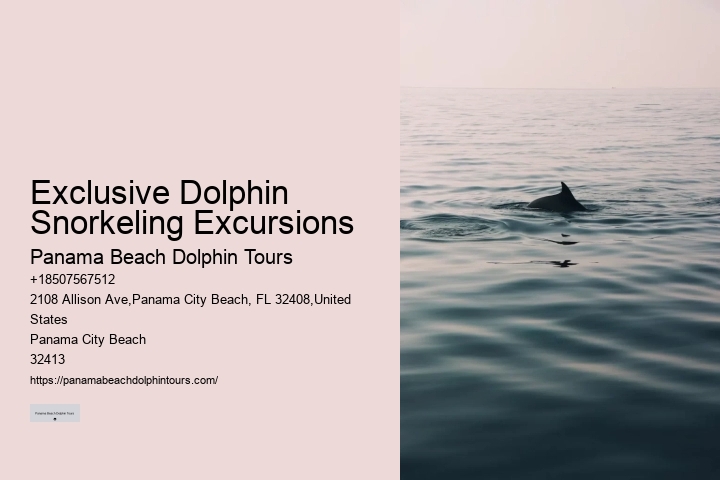 Exclusive Dolphin Watching and Snorkeling Adventures