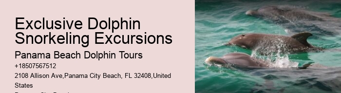 How long is the typical dolphin tour in Panama City Beach