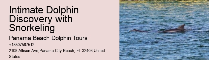 Split Adventurous Dolphin And Snorkeling Excursions