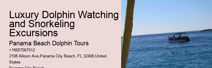 Panama City Dolphin Tours
