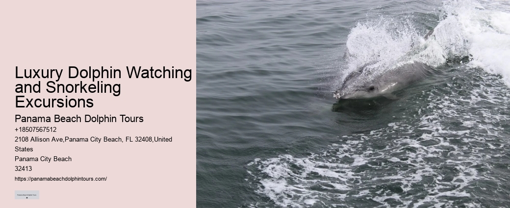 Fishing charters