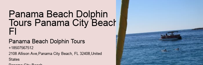 Is It True That Dolphins Use 20% Of Their Brain.