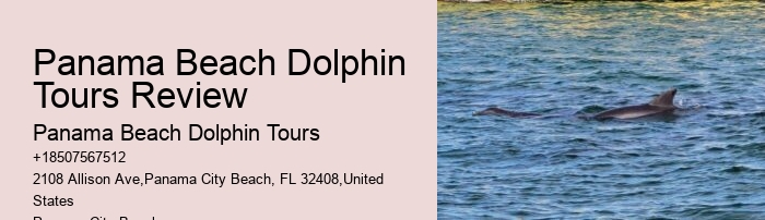 Dolphin Tours And Shell Island Panama City Beach