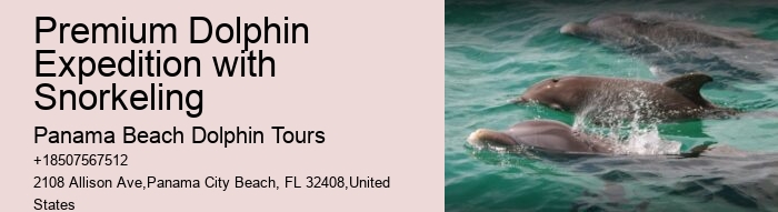 Do Dolphins Ever Bite Hooks