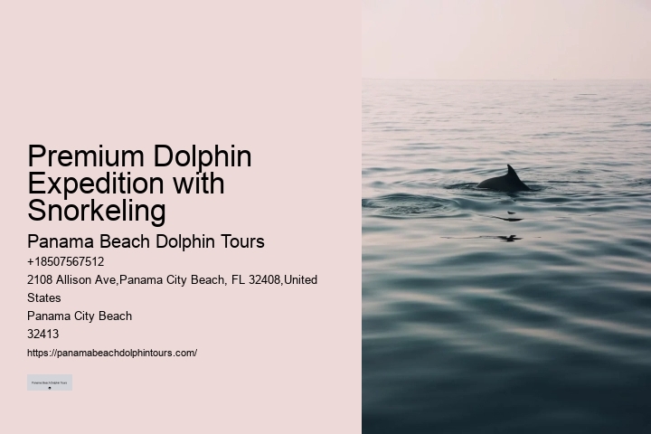 Shell Island Dolphin
