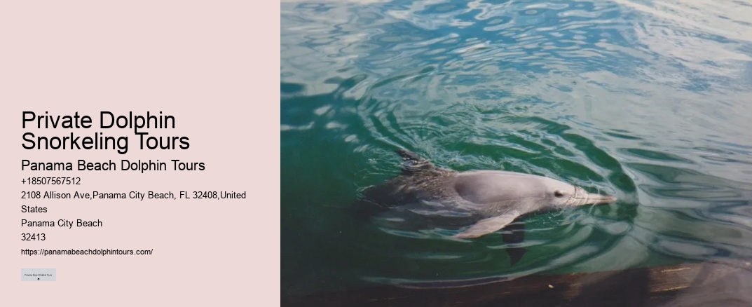 Private Dolphin Snorkeling Tours