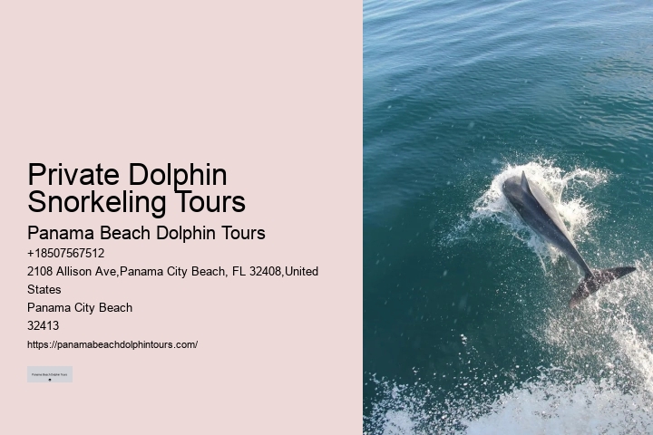 Private 2 Hour Dolphin Cruise