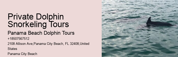 2 Hour Private Dolphin Tour