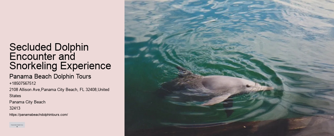 Secluded Dolphin Encounter and Snorkeling Experience