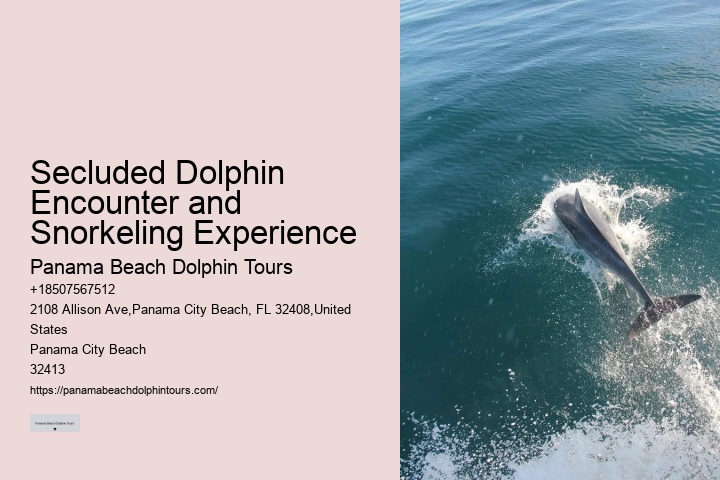 PCB Dolphin Watching Trips