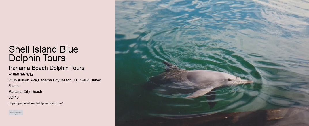 Shell Island Blue Dolphin Tours
