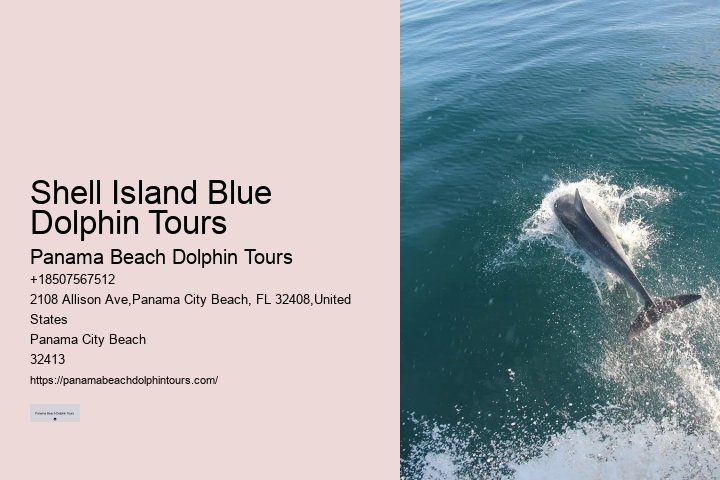Dolphin Spotting Tours Combined With Snorkeling In Split