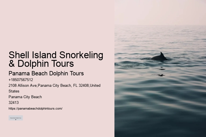 Split Vip Dolphin Watching And Snorkeling Tours