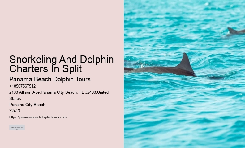 Split Eco-tours Featuring Dolphin Encounters And Snorkeling