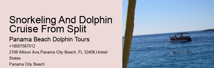 Deluxe Dolphin Expedition with Snorkeling