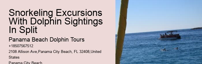 Dolphin Excursions at PCB