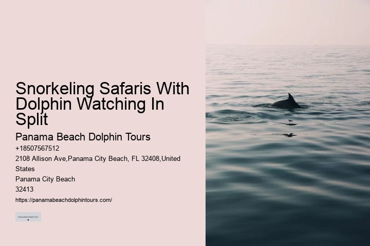 Custom Dolphin Spotting with Snorkeling