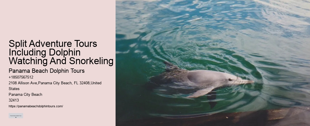 Split Adventure Tours Including Dolphin Watching And Snorkeling