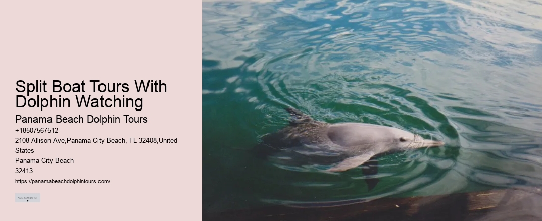 Split Boat Tours With Dolphin Watching