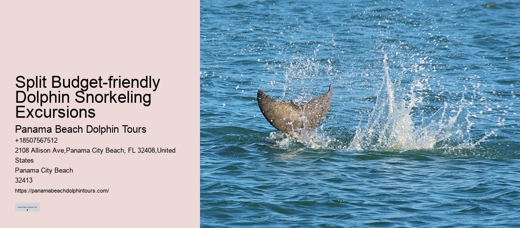 What Is The Life Expectancy Of A Dolphin In Captivity