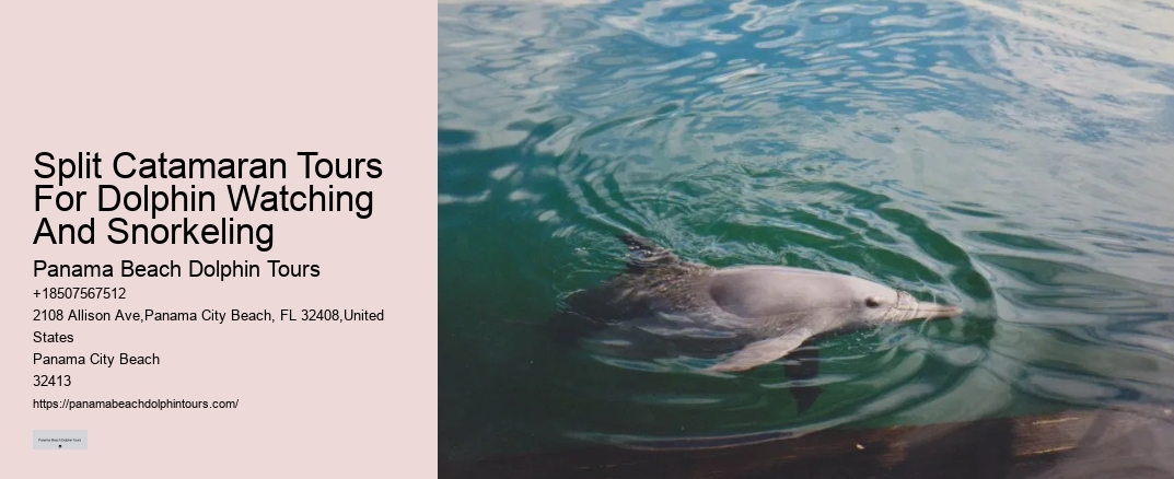 Split Catamaran Tours For Dolphin Watching And Snorkeling