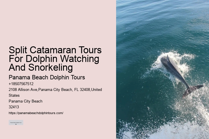 Panama City Beach Florida Boat Tours