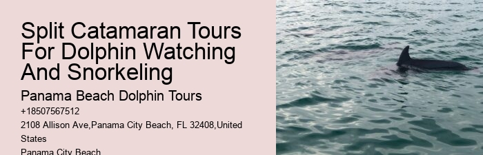 Panama City Beach dolphin expedition cruises