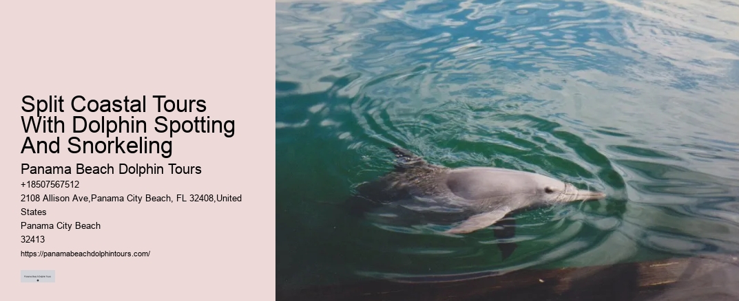 Split Coastal Tours With Dolphin Spotting And Snorkeling