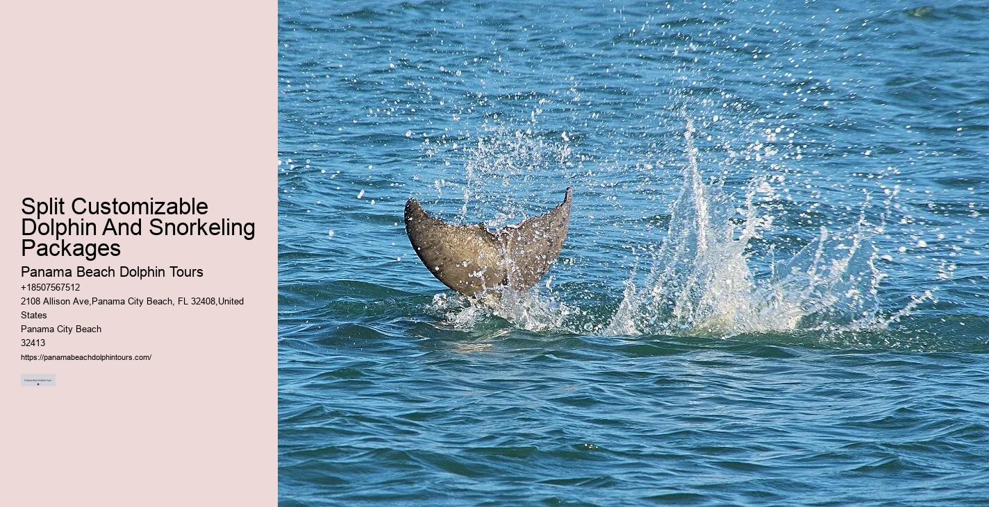 Are Panama City Beach dolphin tours environmentally friendly