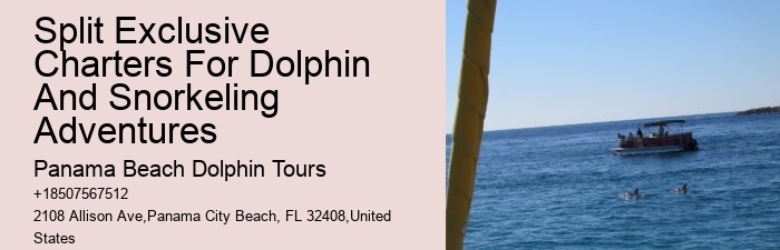 Secluded Dolphin Exploration and Snorkeling